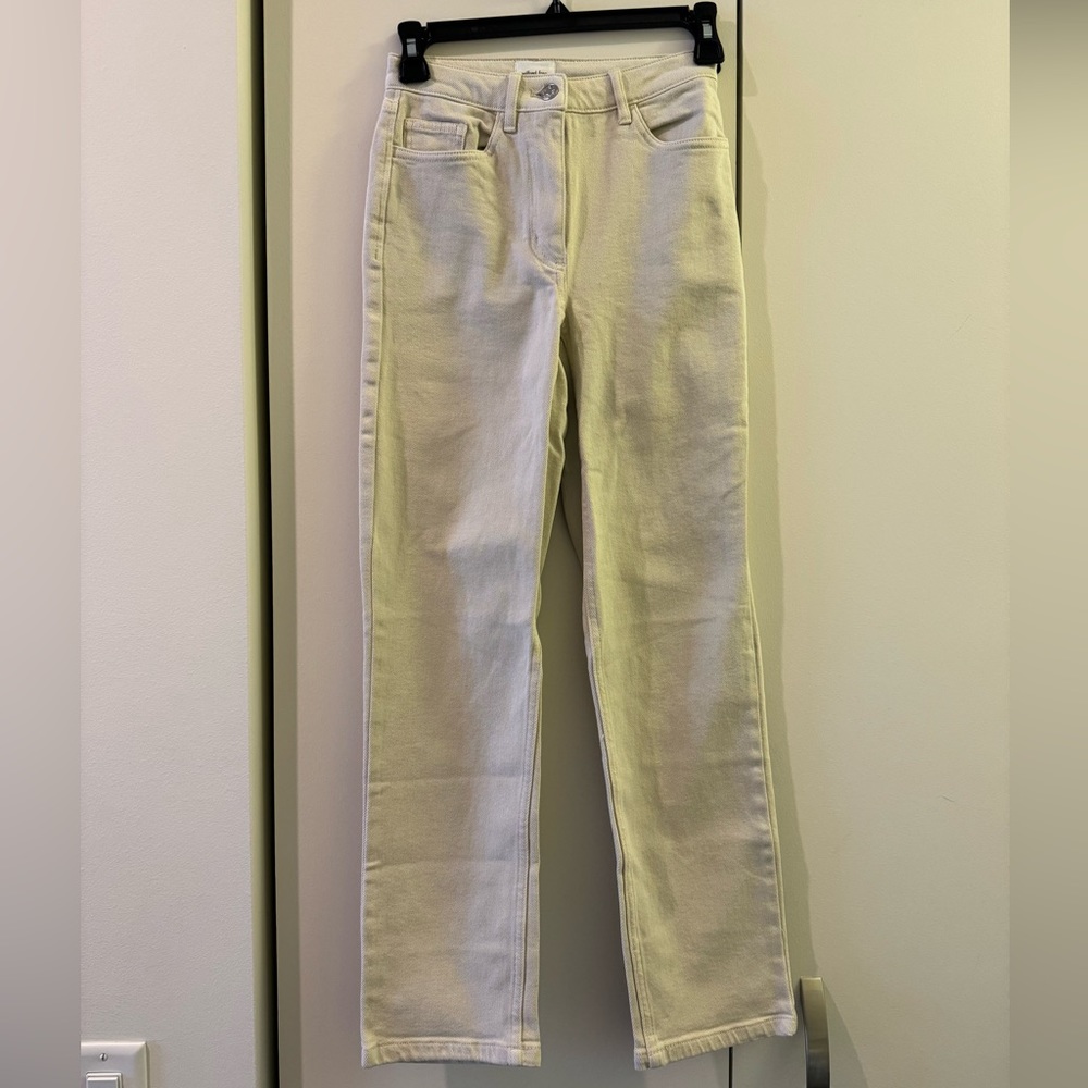 Aritzia Pant